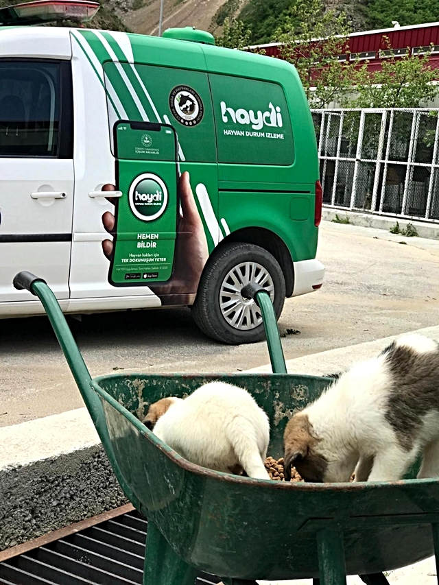 Artvin'de 'tam kapanma' sürecinde sokak hayvanlarına polis ekiplerinden şefkat eli Artvin'de 'tam kapanma' sürecinde sokak hayvanlarına polis ekiplerinden şefkat eli