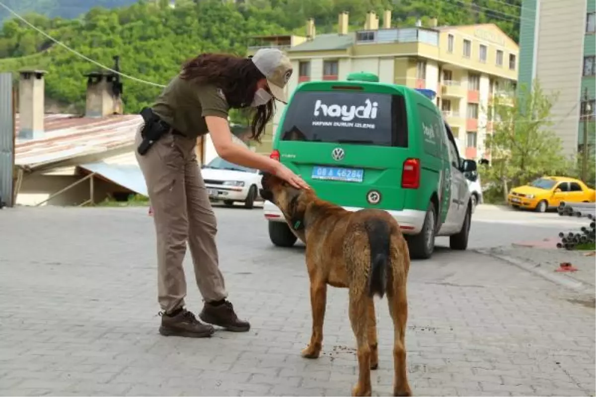 Son dakika haber: Artvin polisi, tam kapanmada sokak hayvanlarını unutmadı