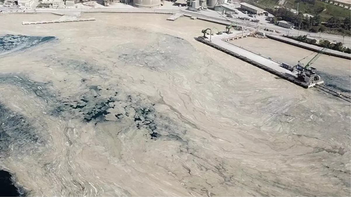 Marmara'yı deniz salyası kapladı! Balıkçılar denize açılamıyor