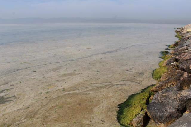 Balıkçılar denize açılamıyor! Marmara'yı deniz salyası kapladı