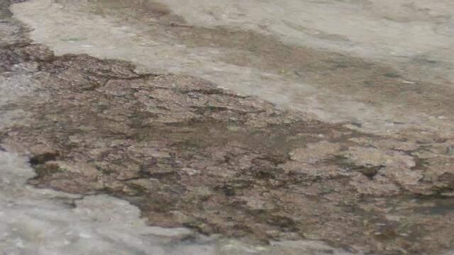 Balıkçılar denize açılamıyor! Marmara'yı deniz salyası kapladı