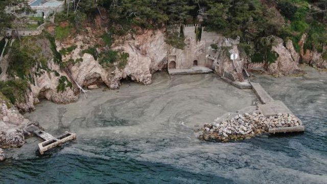 Ada sakinleri endişeli! Büyükada'yı 'salya' sardı