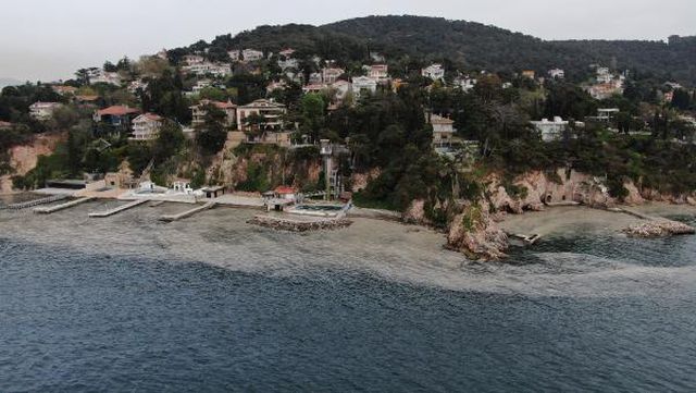 Ada sakinleri endişeli! Büyükada'yı 'salya' sardı