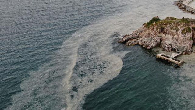 Ada sakinleri endişeli! Büyükada'yı 'salya' sardı