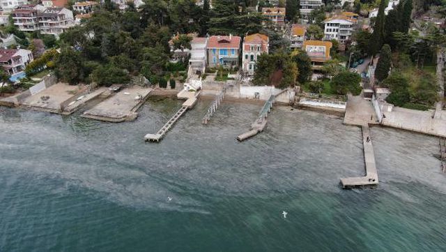 Ada sakinleri endişeli! Büyükada'yı 'salya' sardı