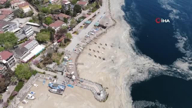 deniz salyasi bu kez korfez i tamamen kapladi 14104014 o