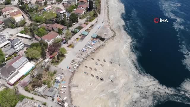 deniz salyasi bu kez korfez i tamamen kapladi 2 14104014 o