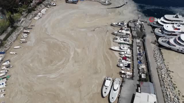 deniz salyasi bu kez korfez i tamamen kapladi 3 14104014 o