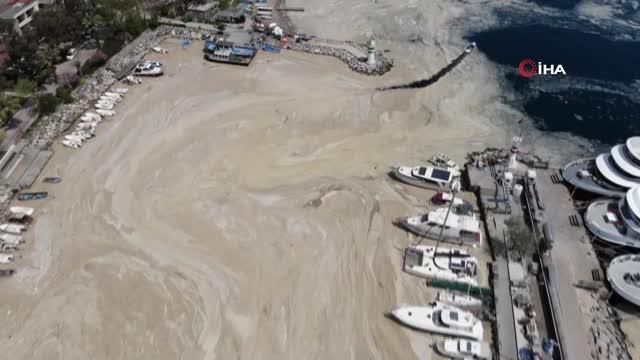 deniz salyasi bu kez korfez i tamamen kapladi 4 14104014 o