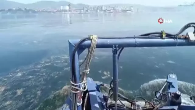 Deniz salyasını arındırmak için temizlik çalışması yapılıyor