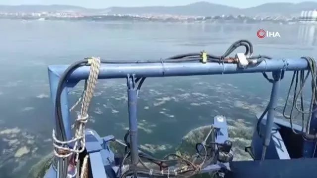 Deniz salyasını arındırmak için temizlik çalışması yapılıyor