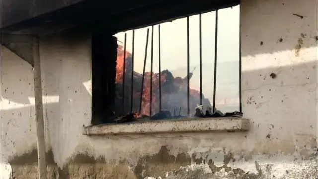 Son dakika haber... İzmir'deki hayvan çiftliğinde korkutan yangın
