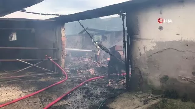 Son dakika haber... İzmir'deki hayvan çiftliğinde korkutan yangın