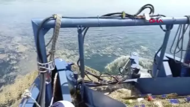 İzmit Körfez deniz salyası ile kaplandı İzmit Körfez deniz salyası ile kaplandı