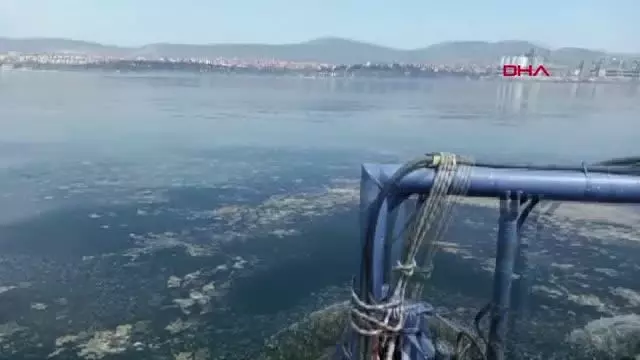 İzmit Körfez deniz salyası ile kaplandı