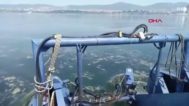 İzmit Körfez deniz salyası ile kaplandı