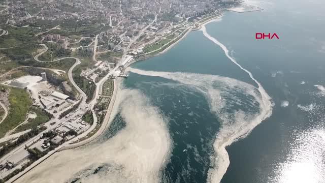 izmit korfezi deniz salyasi ile kaplandi 14103422 o