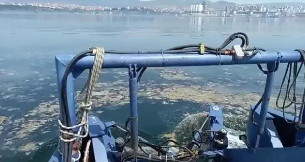 İzmit Körfez deniz salyası ile kaplandı