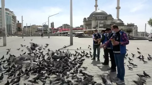 Taksim meydanı 1 Mayısta kuşlara kaldı Taksim meydanı 1 Mayısta kuşlara kaldı