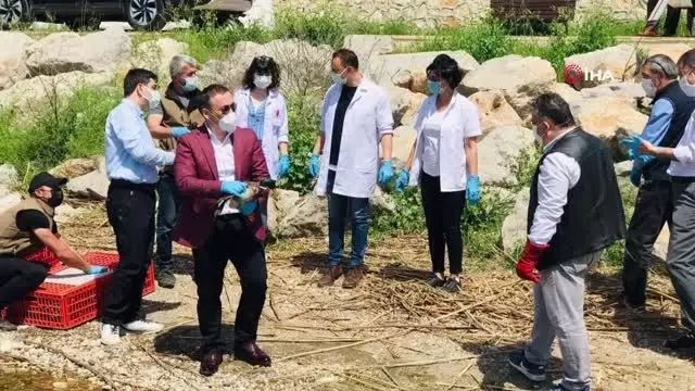 Tedavileri tamamlanan hayvanlar doğaya salındı