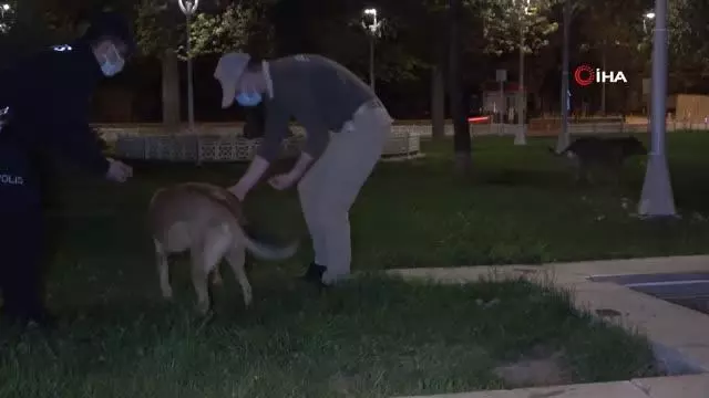 Uşak'ta HAYDİ ekipleri, sokak hayvanlarını besledi