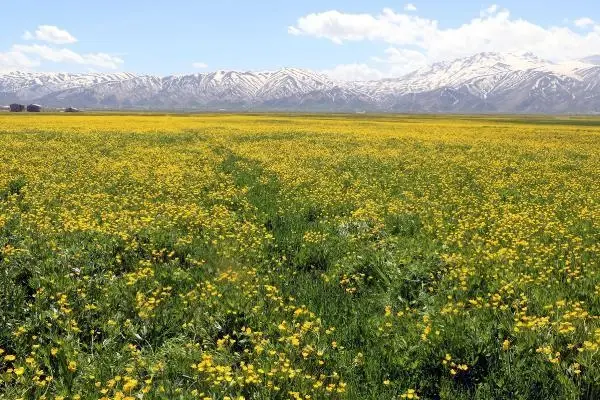 Yüksekova'da bahar güzelliği