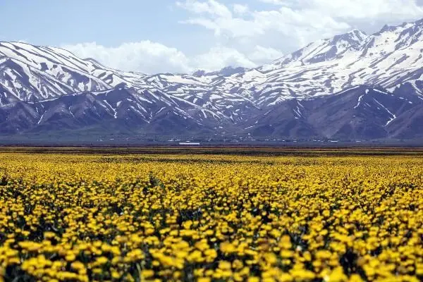 Yüksekova'da bahar güzelliği