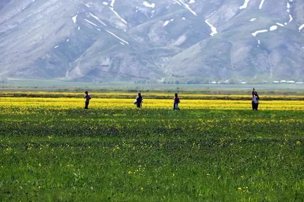 Yüksekova'da bahar güzelliği