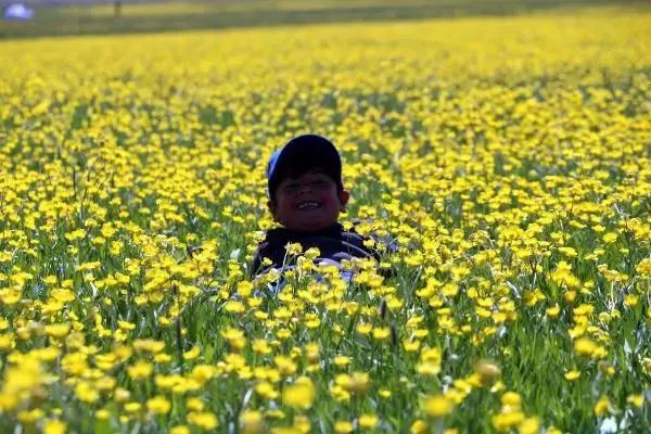 Yüksekova'da bahar güzelliği