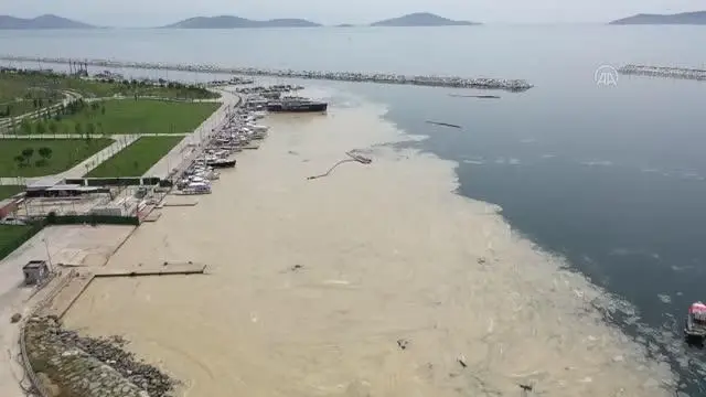 Anadolu Yakası'nda deniz yüzeyinde oluşan beyaz tabaka kıyıya da vurdu Anadolu Yakası'nda deniz yüzeyinde oluşan beyaz tabaka kıyıya da vurdu