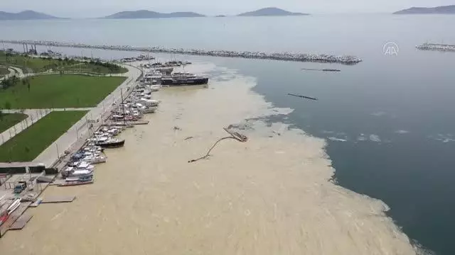 Anadolu Yakası'nda deniz yüzeyinde oluşan beyaz tabaka kıyıya da vurdu Anadolu Yakası'nda deniz yüzeyinde oluşan beyaz tabaka kıyıya da vurdu