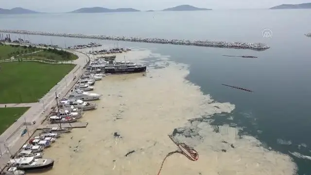 Anadolu Yakası'nda deniz yüzeyinde oluşan beyaz tabaka kıyıya da vurdu Anadolu Yakası'nda deniz yüzeyinde oluşan beyaz tabaka kıyıya da vurdu