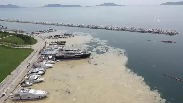 Anadolu Yakası'nda deniz yüzeyinde oluşan beyaz tabaka kıyıya da vurdu Anadolu Yakası'nda deniz yüzeyinde oluşan beyaz tabaka kıyıya da vurdu