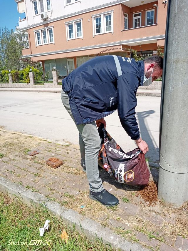 basiskele de sokak hayvanlarina mama birakild 2 14104901 o