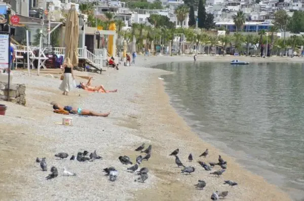 Bodrum plajları 'tam kapanmada' turistlere kaldı Bodrum plajları 'tam kapanmada' turistlere kaldı