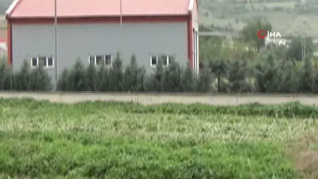 Bursa'da balık ölümleri korkuttu Bursa'da balık ölümleri korkuttu