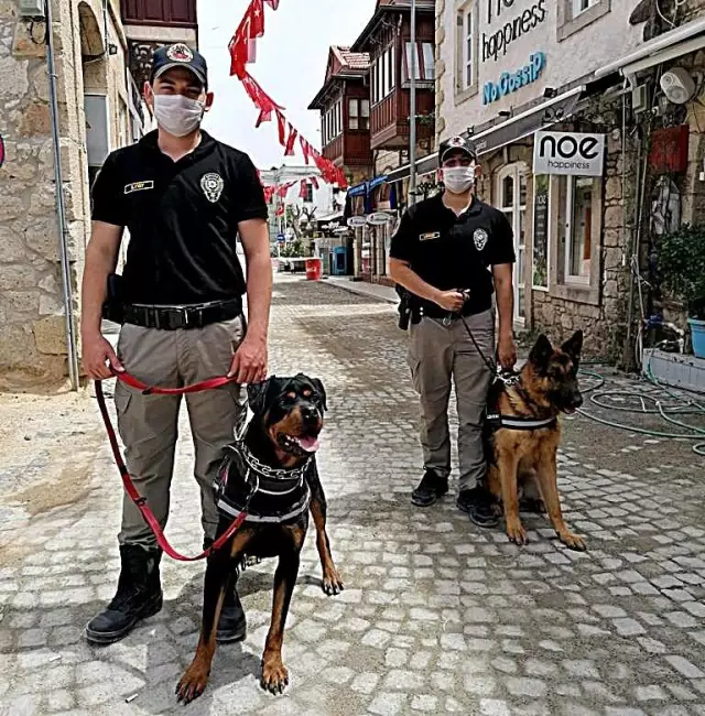 Çeşme Emniyetine 2 atlı polis ile 2 eğitimli köpek takviyesi