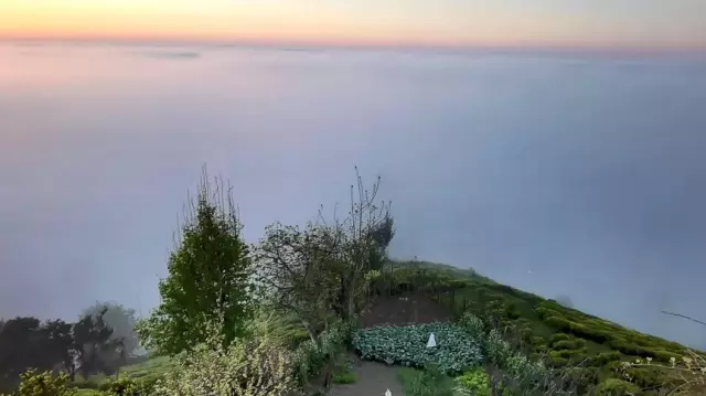 Doğu Karadeniz'de sis bulutlarının mest eden dansı