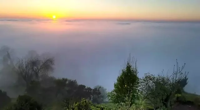 Doğu Karadeniz'de sis bulutlarının mest eden dansı
