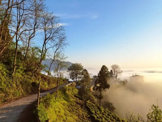 Doğu Karadeniz'de sis bulutlarının mest eden dansı