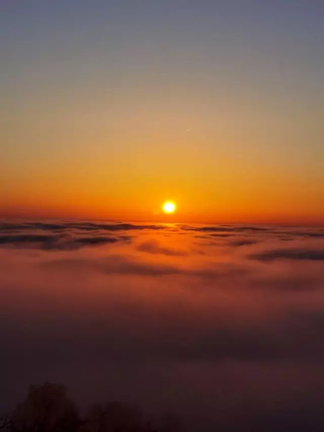 Doğu Karadeniz'de sis bulutlarının mest eden dansı
