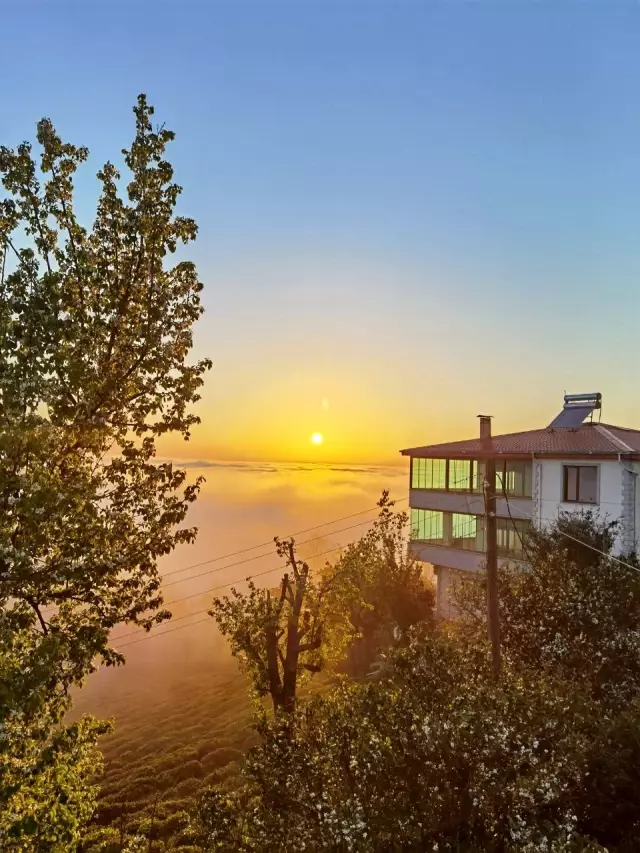 Doğu Karadeniz'de sis bulutlarının mest eden dansı