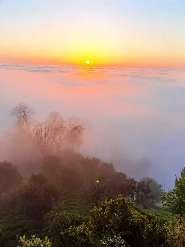 Doğu Karadeniz'de sis bulutlarının mest eden dansı