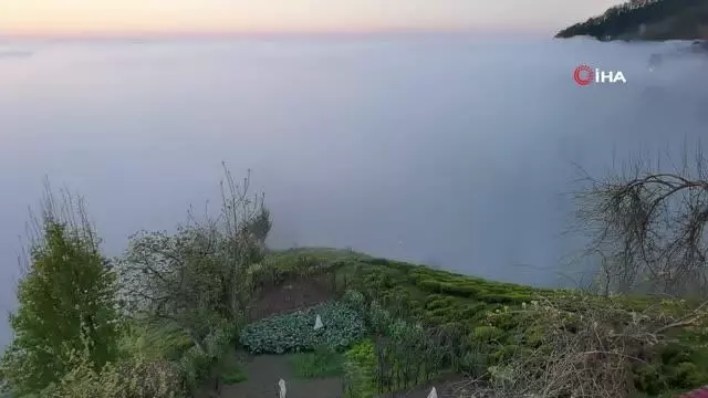 Doğu Karadeniz'de sis bulutlarının mest eden dansı Doğu Karadeniz'de sis bulutlarının mest eden dansı