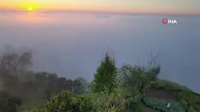Doğu Karadeniz'de sis bulutlarının mest eden dansı