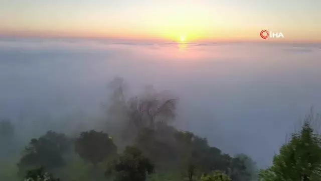 Doğu Karadeniz'de sis bulutlarının mest eden dansı