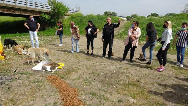 Edirne'de tam kapanmada sokak hayvanlarını beslediler
