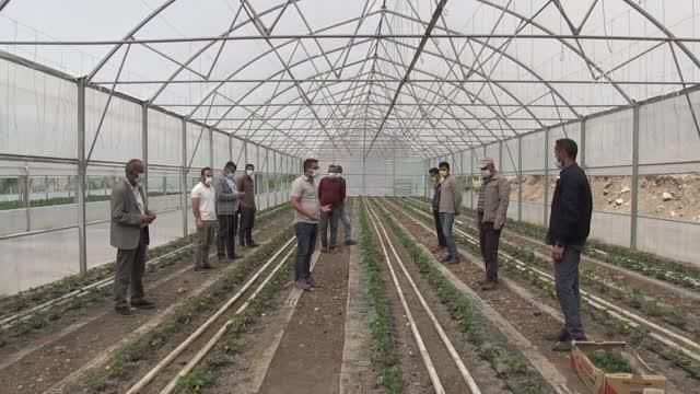 Erzincanlı ziraat mühendisi Hakkari'nin sınır ilçesindeki gönüllü çalışmalarıyla takdir topluyor Erzincanlı ziraat mühendisi Hakkari'nin sınır ilçesindeki gönüllü çalışmalarıyla takdir topluyor