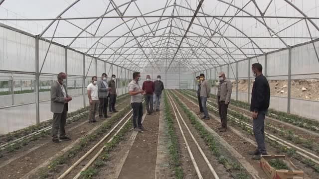 Erzincanlı ziraat mühendisi Hakkari'nin sınır ilçesindeki gönüllü çalışmalarıyla takdir topluyor Erzincanlı ziraat mühendisi Hakkari'nin sınır ilçesindeki gönüllü çalışmalarıyla takdir topluyor