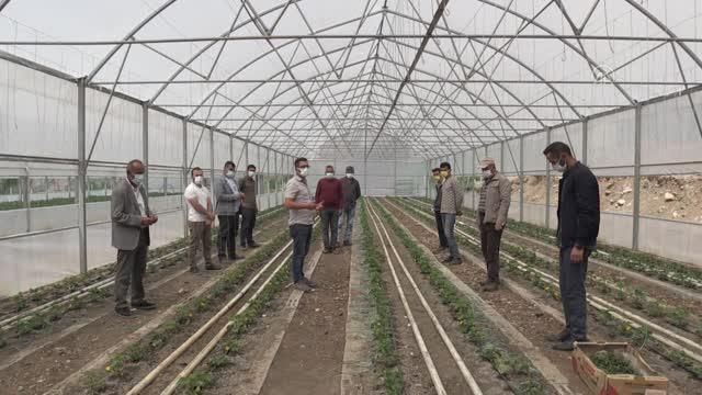 Erzincanlı ziraat mühendisi Hakkari'nin sınır ilçesindeki gönüllü çalışmalarıyla takdir topluyor Erzincanlı ziraat mühendisi Hakkari'nin sınır ilçesindeki gönüllü çalışmalarıyla takdir topluyor
